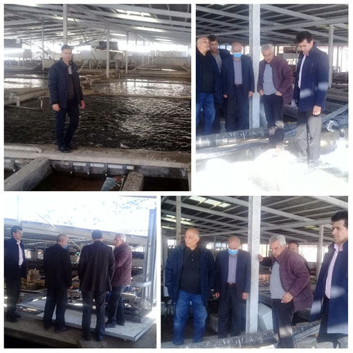 استفاده از آب مغناطیسی در مزارع پرورش ماهی ورزقان برای اولین بار