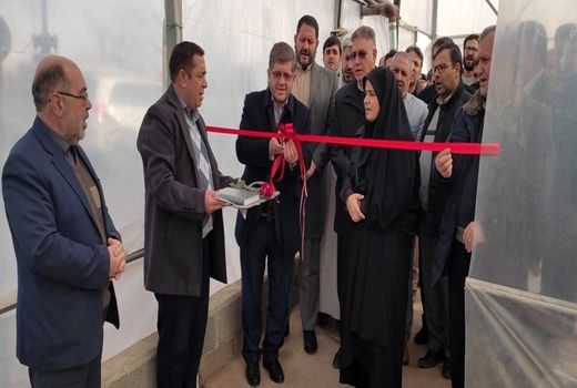 به مناسبت دهه فجر افتتاح دو واحد گلخانه ای در مرند با مساحت بیش از 6 هزار 