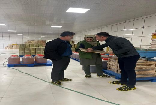 افتتاح واحد بسته بندی و فرآوری عسل در شهرستان تاکستان