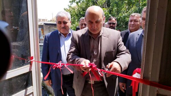 دانش محققان بخش کشاورزی سکوی پرتاب صادرات شاه‌میگو در کشور