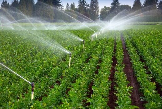 تسریع در اجرای برنامه‌های آب و خاک بخش کشاورزی با همراهی سازمان برنامه و بودجه