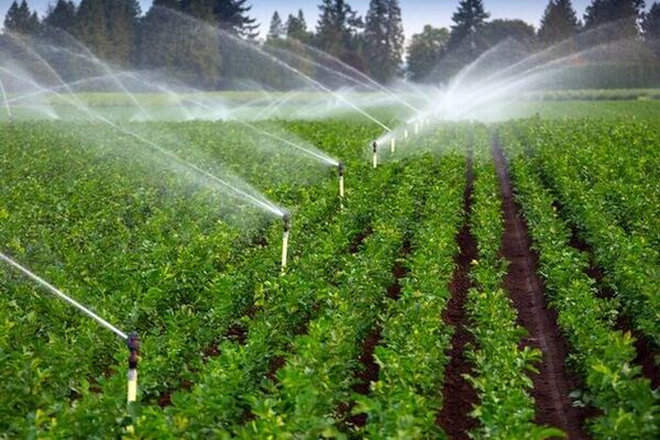 تسریع در اجرای برنامه‌های آب و خاک بخش کشاورزی با همراهی سازمان برنامه و بودجه