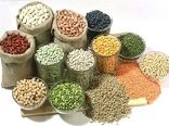 تولید بیش از  8 هزار تن انواع حبوبات از اراضی زراعی شهرستان اردبیل