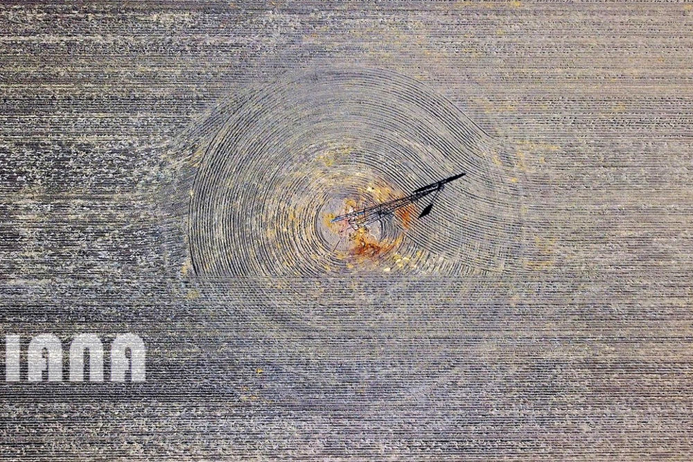 سرطان زمین‌های کشاورزی