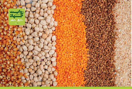 از تحول اقتصادی تا چالش‌های پیش‌رو در خودکفایی دانه‌های روغنی