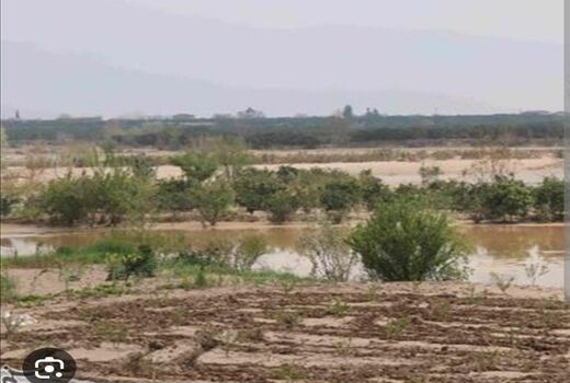 اختصاص ۱۰۱ میلیون ریال تسهیلات برای جبران خسارت سیل در ارسنجان