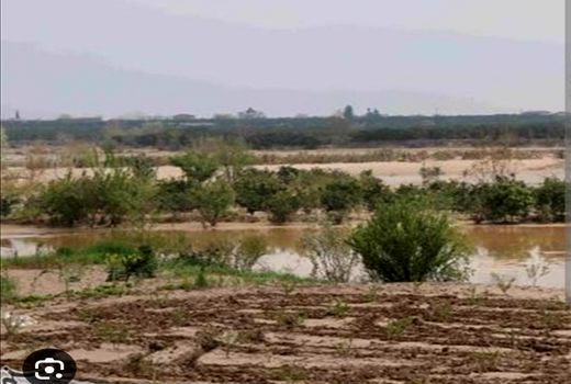 اختصاص ۱۰۱ میلیون ریال تسهیلات برای جبران خسارت سیل در ارسنجان