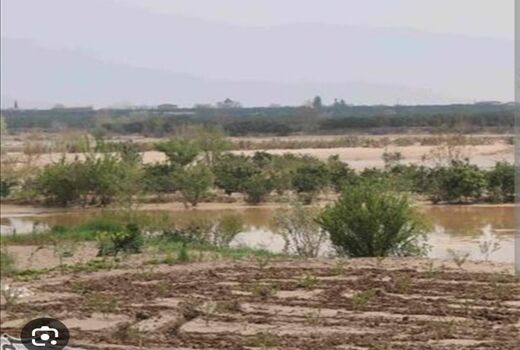 اختصاص ۱۰۱ میلیون ریال تسهیلات برای جبران خسارت سیل در ارسنجان