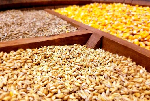 توزیع 920 تن نهاده دامی در مسیر کوچ عشایر چهارمحال و بختیاری