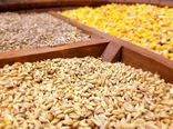 توزیع 920 تن نهاده دامی در مسیر کوچ عشایر چهارمحال و بختیاری