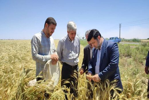 مراکز خدمات کشاورزی خاکریز خط مقدم جهادکشاورزی است