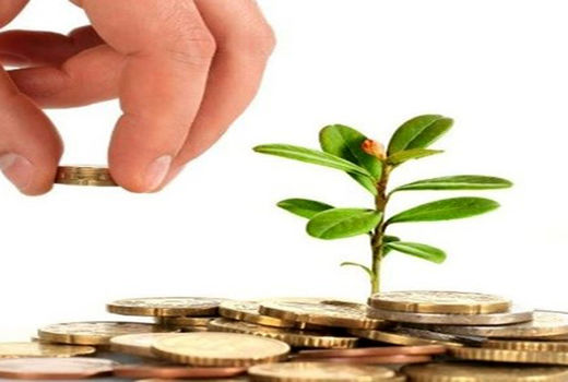 جذب 25 میلیارد ریال اعتبار توسعه بخش کشاورزی و دامداری شهرستان زرین دشت