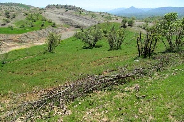 14پلاک از اراضی کشاورزی شهرستان البرز تثبیت مالکیت شد