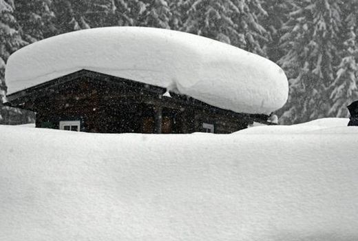 بارش برف چرای دام در کوهپایه‌های البرز را ممنوع کرد