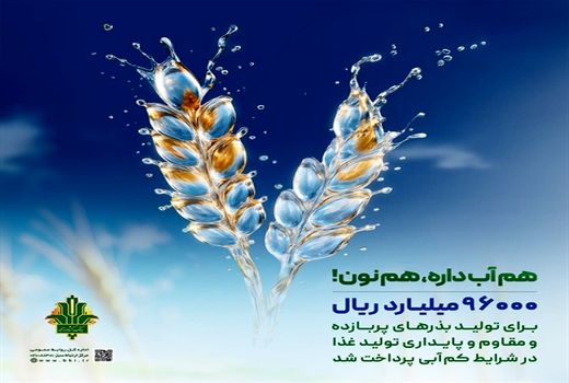 حمایت 96 هزار میلیارد ریالی بانک کشاورزی از مدیریت بحران آب با بذرهای گواهی شده