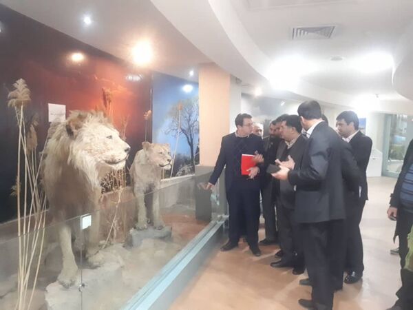 تامین امنیت غذایی مردم در گرو حفظ خاک است