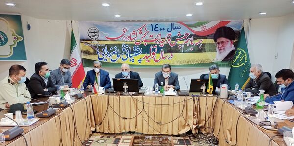 افزایش ظرفیت تولید چغندرقند با راه‌اندازی کارخانه قند دزفول و اهواز