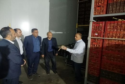 ضرورت حمایت از سرمایه‌گذاری در فرآوری سیر