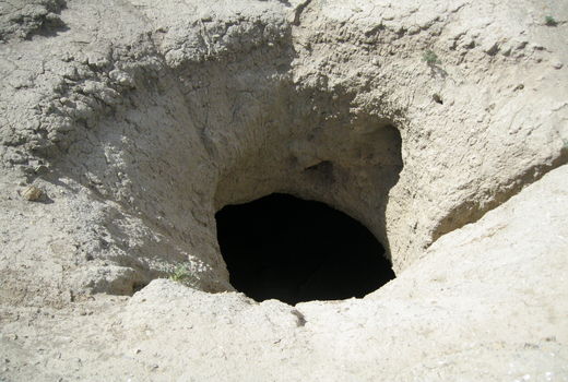 قنات شیرین چشمه آباده احیاء شد