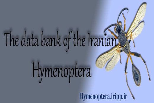 بانک اطلاعاتی بال‌غشاییان ایران راه‌اندازی شد