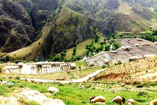 فعالیت شیلات تا شعاع ۱۰ کیلومتری سرچشمه سرخون تعطیل شد