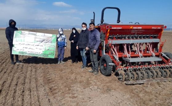 اجرای سایت جامع الگویی تولیدی ترویجی کشت انتظاری مستقیم عدس دیم