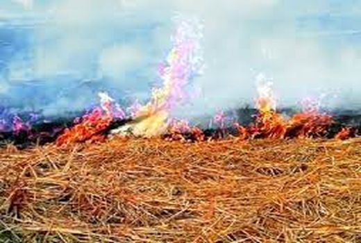  سهولت در عملیات خاک ورزی با حفظ بقایا در خرمشهر