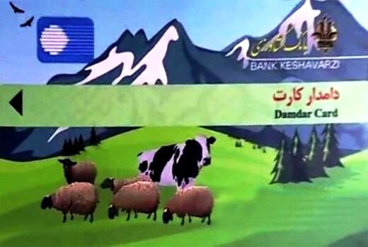 دامداران آذربایجان غربی صاحب دامدار کارت می شوند