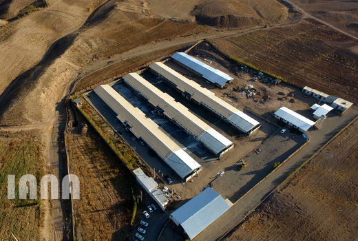 دو درصد محصولات دامی در استان زنجان تولید می‌شود