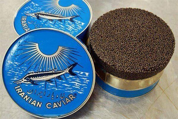 درس‌های برند خاویار برای آینده کشاورزی ایران