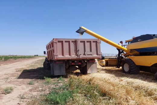 برگزاری دوره مهارتی تکثیر و پرورش ماهیان گرمابی در شهرستان قزوین