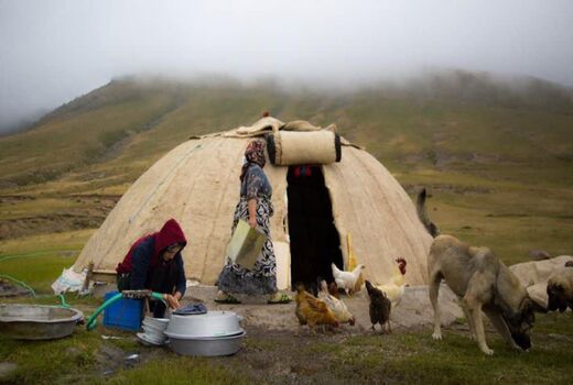 زن عشایری؛ زندگی در مسیر کوچ، تولید و حفظ یک فرهنگ