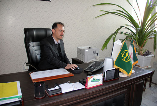 تولید ذرت و سورگم علوفه ای و یونجه آبی در خراسان رضوی