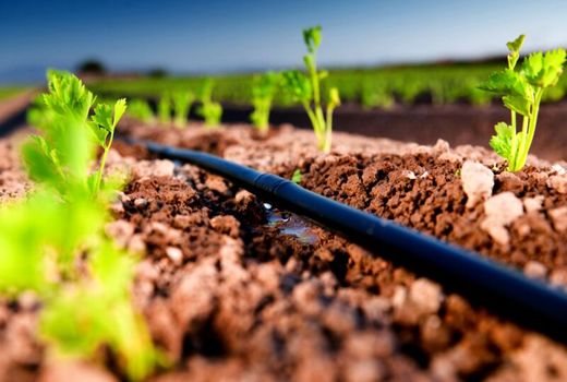 19 هزارمیلیارد ریال بدهی کشاورزان خسارت دیده بخشوده شد