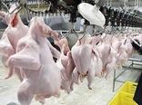 قیمت واقعی مرغ 31 هزار تومان است 