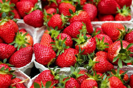 استفاده از هوش مصنوعی در برداشت توت‌فرنگی