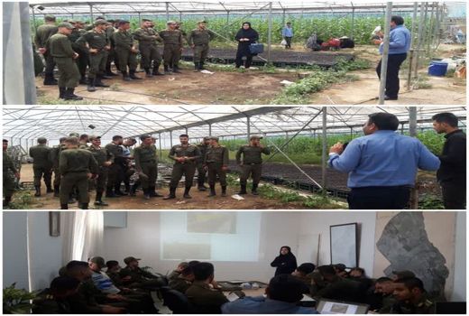 آشنایی سربازان وظیفه با کشت گیاهان گلخانه‌ای 