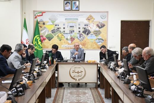 افزایش 50 درصدی بهره‌وری حوزه کشاورزی در برنامه هفتم توسعه