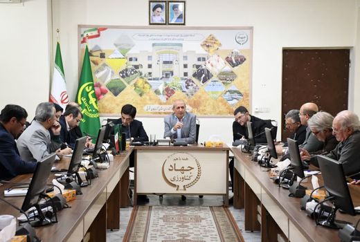 افزایش 50 درصدی بهره‌وری حوزه کشاورزی در برنامه هفتم توسعه