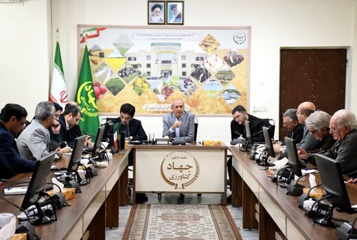 افزایش 50 درصدی بهره‌وری حوزه کشاورزی در برنامه هفتم توسعه