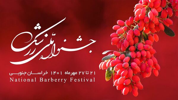 آغاز جشنواره برداشت یاقوت سرخ