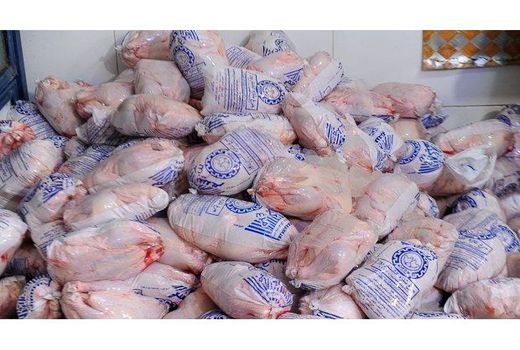 تولید 390 تن گوشت مرغ در محمودآباد