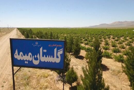 گلستان‌ میمه، فرصتی برای اشتغال و درآمد زایی