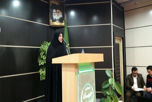 کشاورزی سنتی را به تجاری باید تبدیل کرد