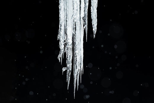 آناتومی قطب شمال