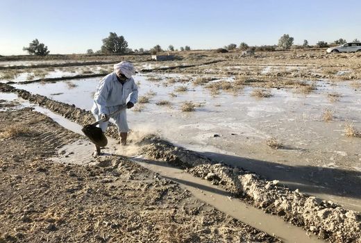 52 هزار هکتار از زمین‌های کشاورزی دشت سیستان آبیاری شد