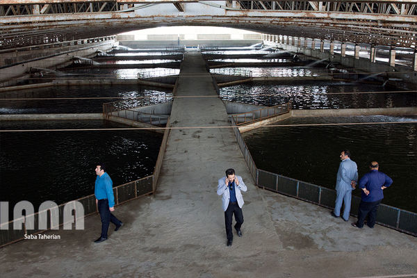 ثروتی معادل  6 هزار لیتر نفت خام در دریا 