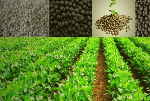 افزایش 14 برابر مصرف کودهای فسفاته و پتاسه در سالجاری در قم