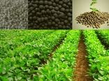 افزایش 14 برابر مصرف کودهای فسفاته و پتاسه در سالجاری در قم
