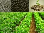 افزایش 14 برابر مصرف کودهای فسفاته و پتاسه در سالجاری در قم